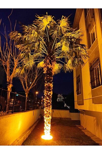 CAMANA Palmiye Ağaç Aydınlatma  Çember Dairesel Led Yuvarlak Aydınlatma Armatür IP67 35-50-65-80 CM