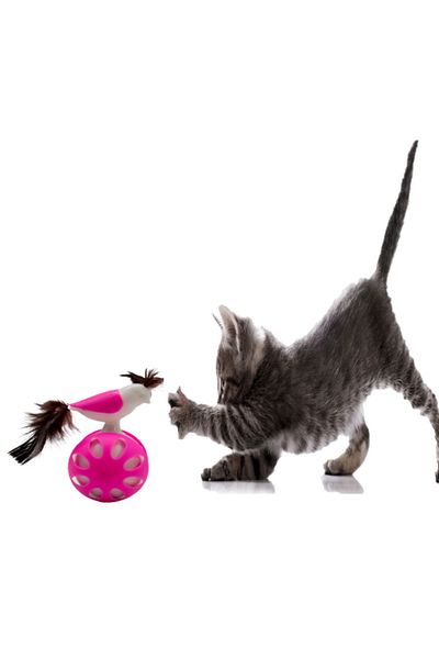 TİNEKE WHEELPROOF BIRD CAT TOY PINK 1 PIECE