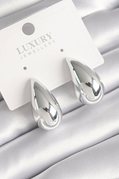 Clariss Brass Silver Color Drop Model Women's Earrings