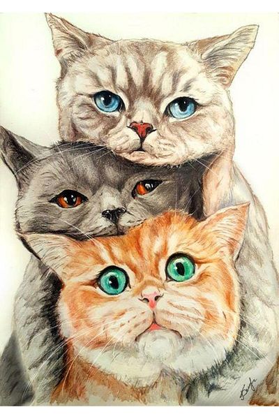 dialands 35X50Cm Cats - Dm199