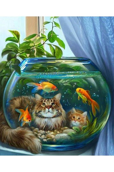 dialands 40x50cm Fishes and Cats - DM182