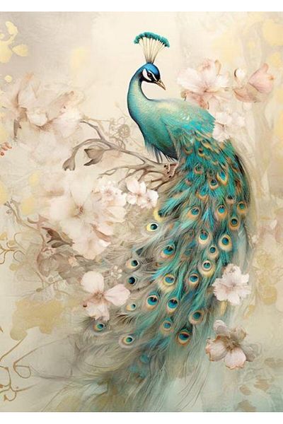 dialands Peacock 42x60cm - DM209 Model
