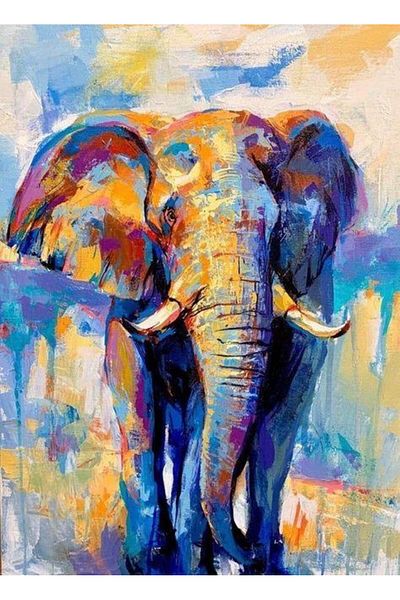 dialands 40x55cm Colorful Elephant DM184