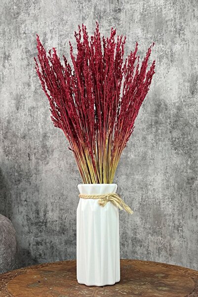 Goya Home Red Broom Grass Ornament Vase Arrangement Flower 80 Gr