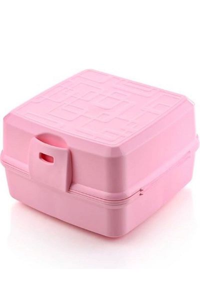 HOLLYHOME Premium 2-Layer 4-Compartment Lunch Box 15 X 16 X 9cm Pink Powder Hh