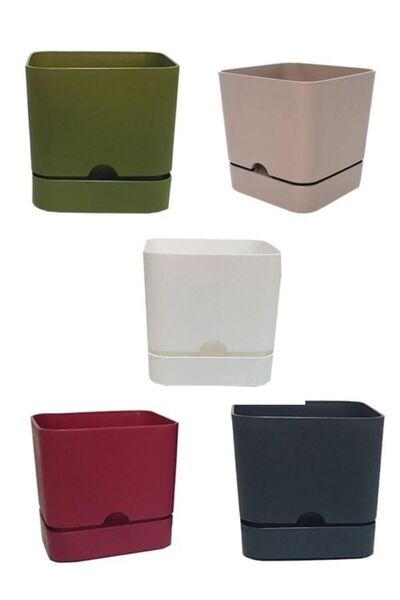 Viyalente 5 Adet Polıwork Saksı Begonya Kare 16 Cm