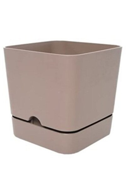 Viyalente Polıwork Saksı Begonya Kare 16 Cm Krem