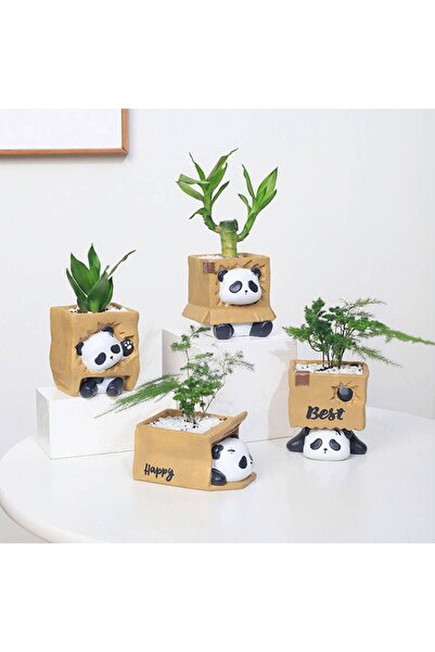 FLORADA YENİ SEVİMLİ PANDALAR 4'LÜ SUKULENT VE KAKTÜS DEKORATİF SAKSI SETİ