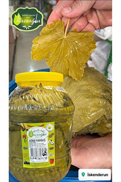 Hacıoğlu baharat Hatay Yöresel Doğal Salamura Yaprak 5 Kg Bidon