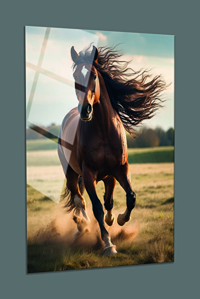 BV DEKOR ΓΥΑΛΙΝΗ ΠΙΝΑΚΙΔΑ ΜΕ ΘΕΜΑ ΤΟ ΑΛΟΓΟ ΠΟΡΤΟΦΟΡΟΥ -ΔΙΑΚΟΣΜΗΤΙΚΗ ΖΩΓΡΑΦΙΚΗ...