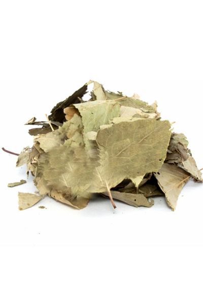 Bakkal Hasan 100 gr Quince Leaf - Bakkal Hasan