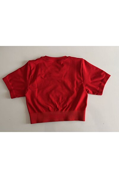 ALPHALETE Gymtutkum Alpine Seamless Crop