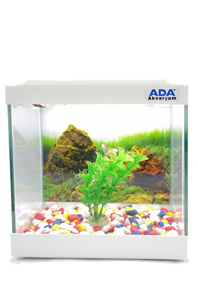 ADA AKVARYUM Mini Akvaryum Beyaz 20x20x15 Akvaryum Renkli Çakıl Plastik Bitki...