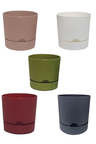 Viyalente 5 Adet Polıwork Saksı Begonya 15 Cm