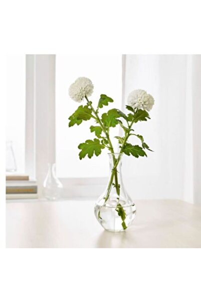 HOLLYHOME Padrag Ve Vıljestark Dekoratif Cam Vazo 2'li 17 Cm