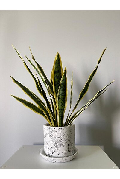 odka 8litre Silindir Saksı Tabaklı Yükseklik:17cm Çap:20cm Mia Beyaz Mermer D...