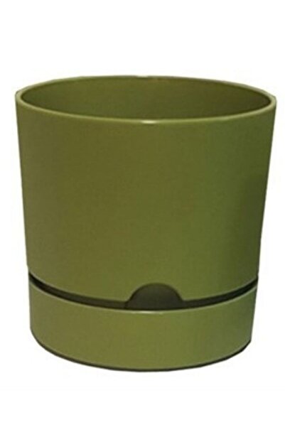 Viyalente Polıwork Saksı Begonya 15 Cm Yosun Yeşili