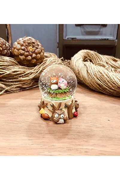 Genel Markalar Baykuş Orta Boy Kar Küresi Sevgiliye Arkadaşa Hediye