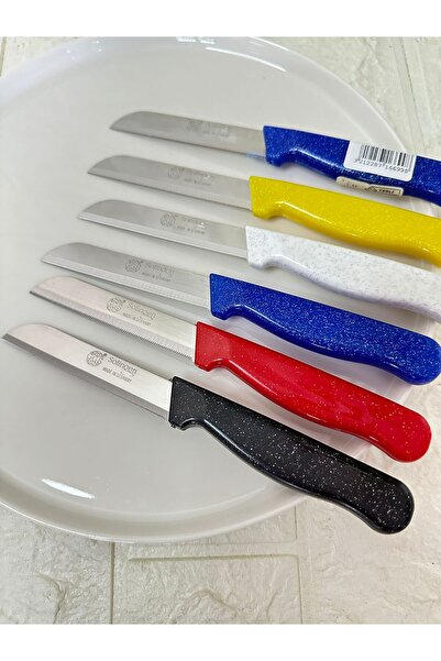 GGS Solingen Germany Tırtıklı Meyve ve Sebze Bıçağı 6 Adet