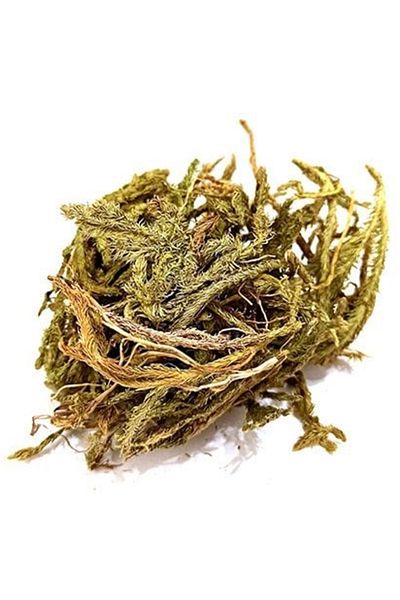 Bakkal Hasan 50g Wolf Claw Herb - Bakkal Hasan