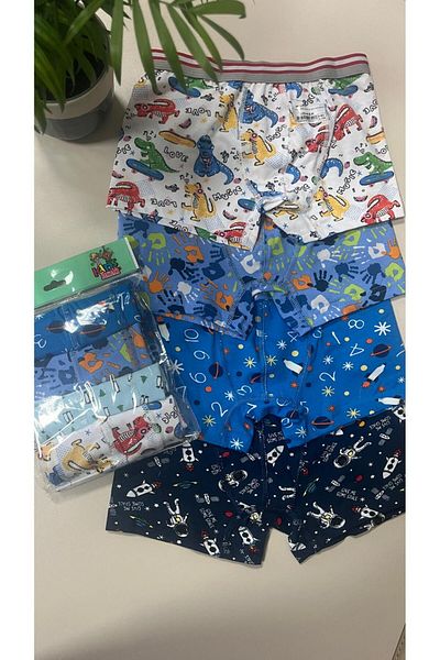 Namaldı Set of 4 Boxers for Boy