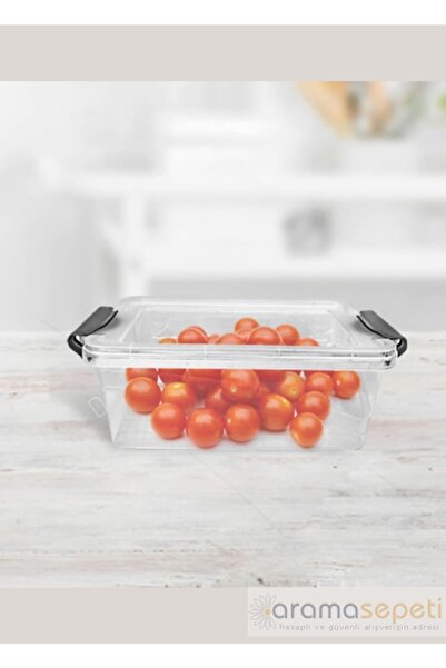 Decobella 0.40 Lt. Lockable Storage Container