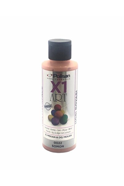 Polisan X1art Somon Multisurface Hobi Boyası 120ml