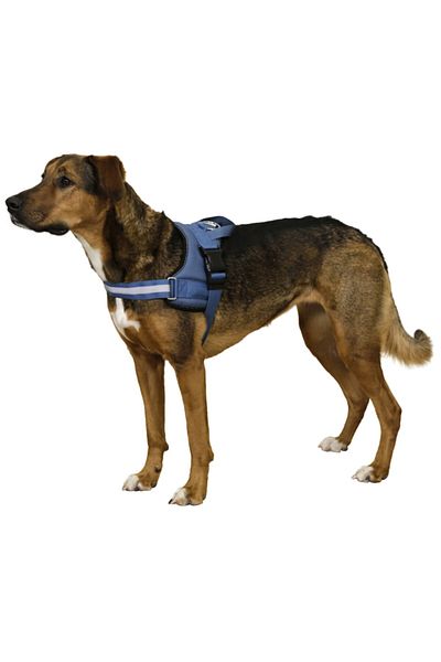 KERBL Waist Dog Collar Maestro 2.0 - L 64-90 Cm X 25 Mm