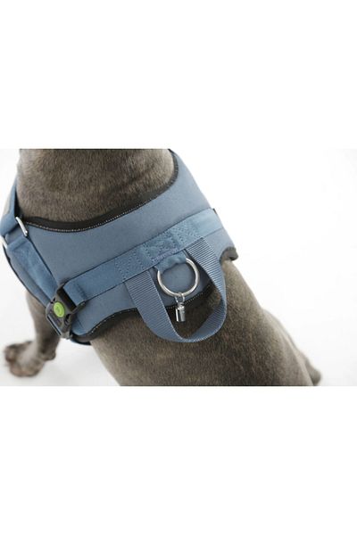 KERBL Waist Dog Collar Maestro 2.0 - S 45-60 Cm X 15 Mm