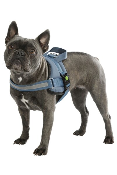 KERBL Waist Dog Collar Maestro 2.0 - S 45-60 Cm X 15 Mm