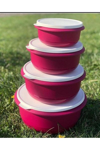 Tupperware Mixim 4-Piece Fuchsia