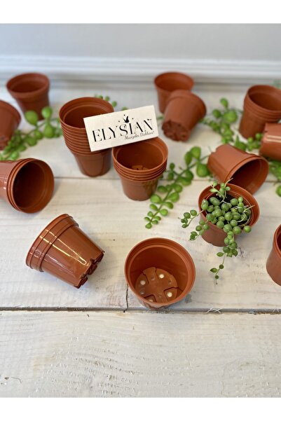 Elysian Üretim Saksı 20 Adet 0,12lt Kaktüs Sukulent Üretim Saksısı 67x54 Cm K...