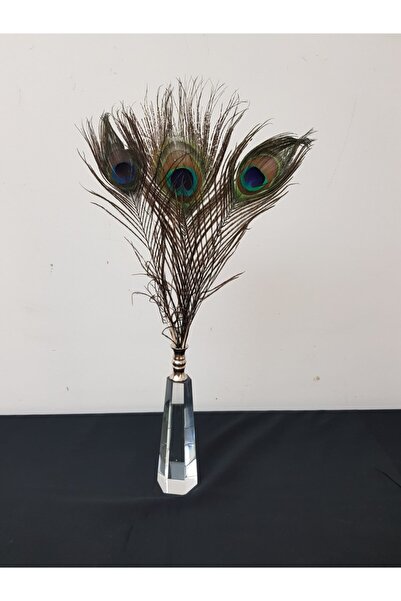 Arose Tavuzkuşu Tüy Gümüş Ağızlık Tüy Dekor