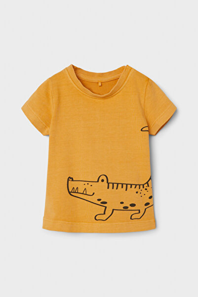 Name it NBNOSAFIR SS - Top Box modell