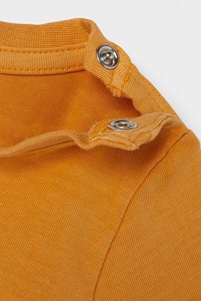 Name it NBNOSAFIR SS - Top Box modell