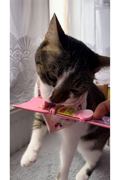 MATATABİ CATS Magic Spoon Cat Cream - Feeding Spoon (Easy Spoon)