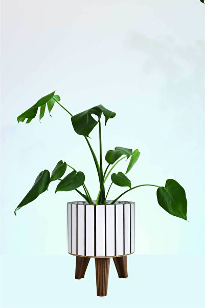 Hakan Mobilya Beyaz Ahşap Modern Kahverengi Ayaklı Yuvarlak Orta Saksı Dekora...