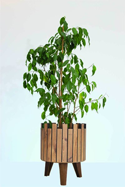 Hakan Mobilya Çam Rengi Modern Kahverengi Ayaklı Kale Model Saksı Standı Büyük Dekoratif Çiçeklik Ofis Bahçe Ahşap