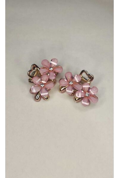 JHTshop Accessories 2-Piece Crystal Flower Peg Hair Clip