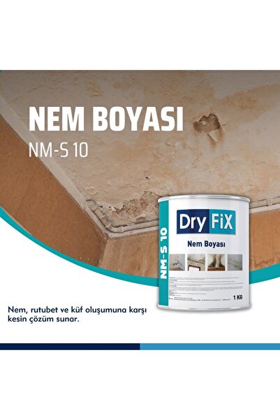 Dryfix Nem Ve Rutubet Boyası | Nm-s 10