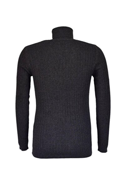 Raymons Чоловічий спортивний светр з рибальським коміром - R22897 BGL-ST03178