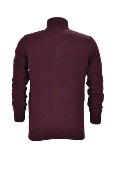 Raymons Men's Sports Collar Zippered Sweater - R22949 Bgl-st03181