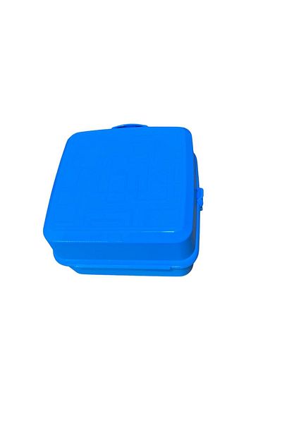 HOLLYHOME Premium 2-Layer 4-Compartment Lunch Box 15 X 16 X 9cm Blue Hh
