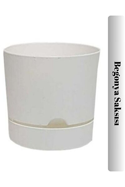 Viyalente Polıwork Saksı Begonya 15 Cm Beyaz