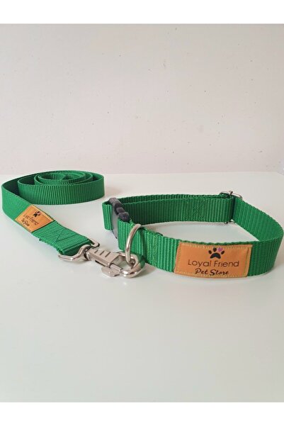 Loyal Friend Store Yeşil Renk Köpek Boyun Tasma Takım Seti (boyun Ölçüsü 30-4...