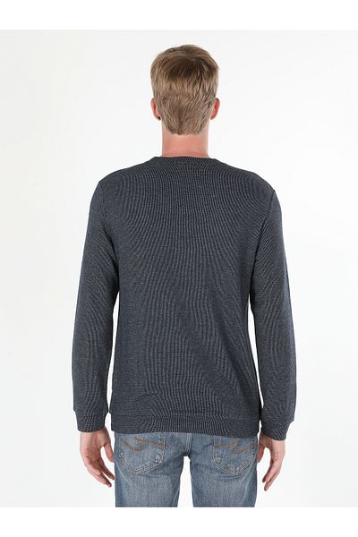 Colin's Blue Regular Fit Crew Neck Men's T-Shirt Long Sleeve - Cl 1059906