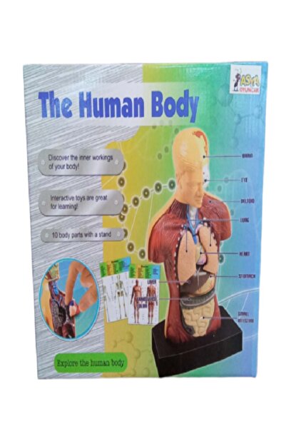 Asya Oyuncak MAKET İNSAN VÜCUDU BİLİM SETİ THE HUMAN BODY