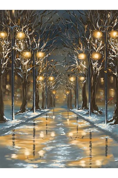 MARCEL SANAT Diamond Mosaic Painting with Snowy Walkway 41x56cm