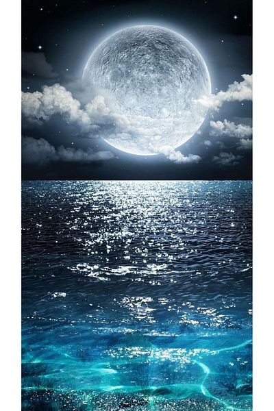 MARCEL SANAT 30x55cm Mosaic Painting - Full Moon and Cold Sea Apple
