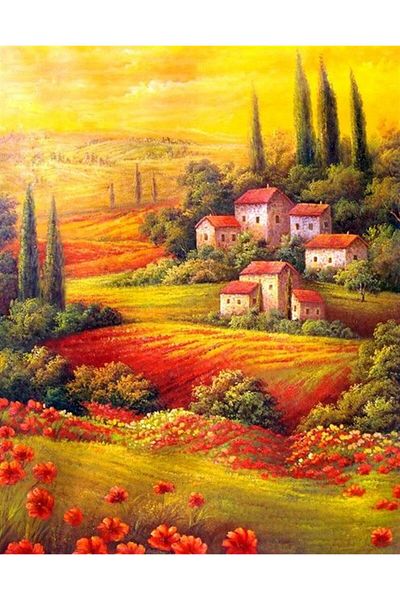 MARCEL SANAT Poppy Village Diamond Mosaic Painting 45x55cm